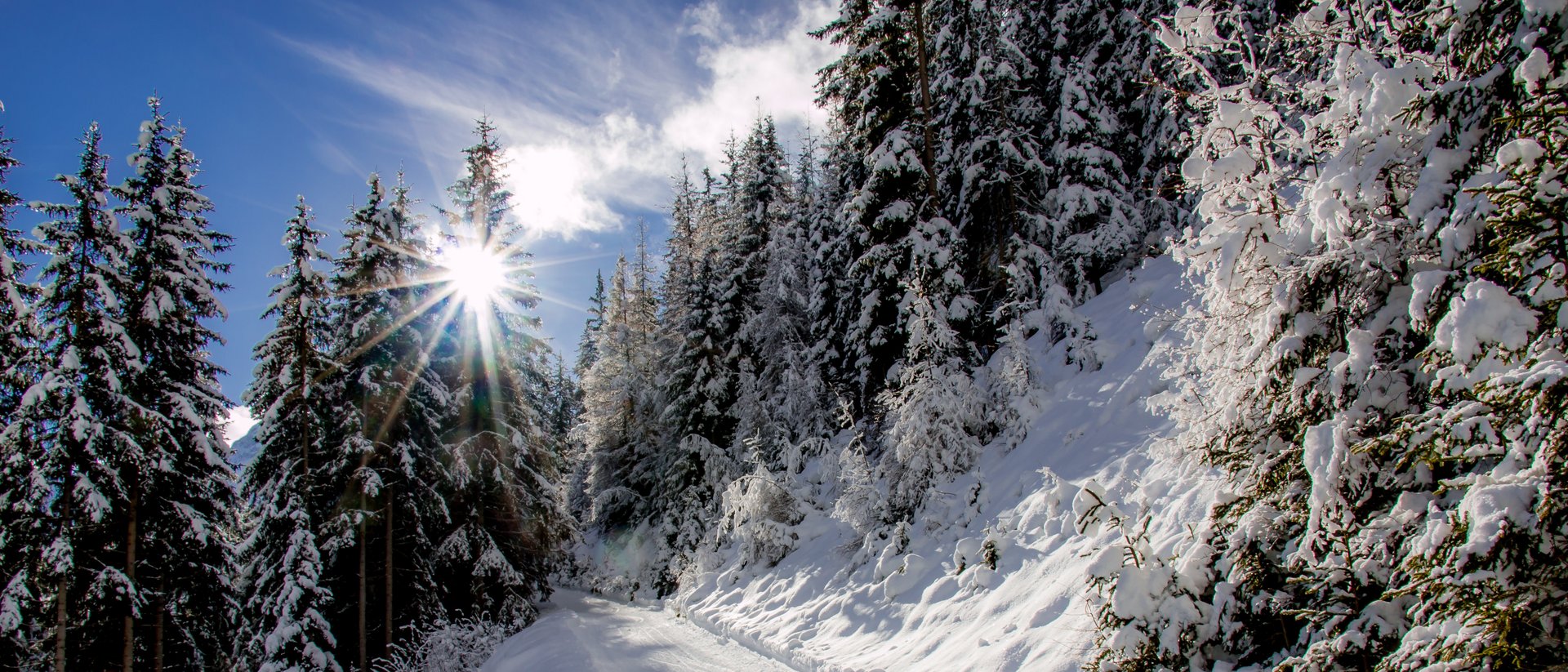 Ihr Wohlfühlhotel im urigen Gsiesertal Verschneiter Waldweg mit Sonne hinter Bäumen