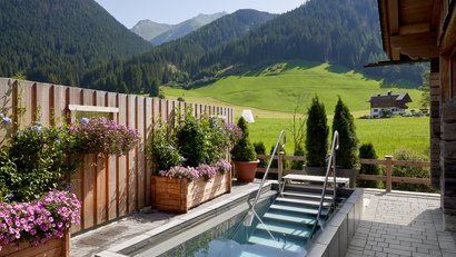 Kleiner Pool mit Blumen vor einem grünen Bergpanorama