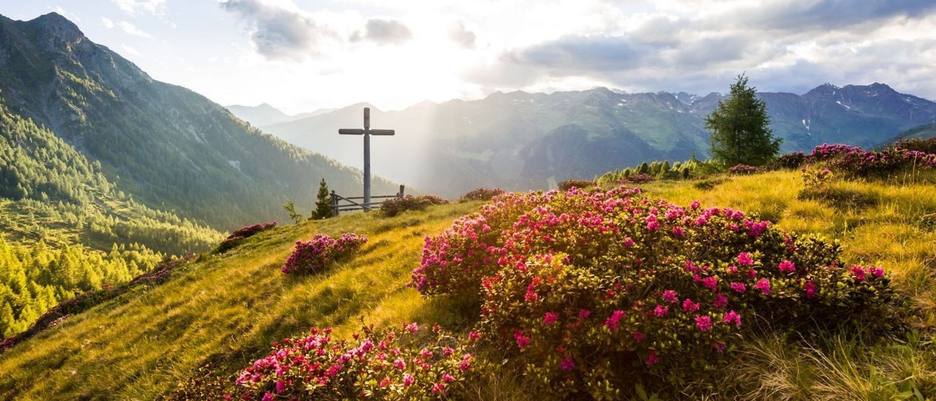 Bergwiese mit rosa Blumen, Holzkreuz und Sonne hinter Wolken